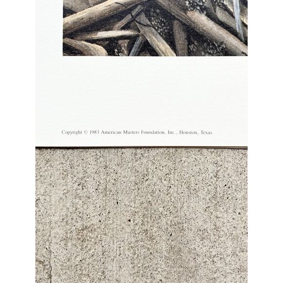 1983 Charles Fracé “My Friend, Rabbit” Signed Lithograph Print 23”X19” - Picture 9 of 9